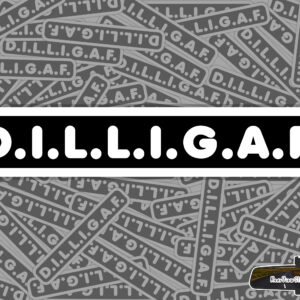 DILLIGAF Stickers - Motorcycle Helmet Stickers - Laptop Stickers - 1024-DILLIGAF-BIKER-x2-RVS