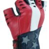 Leather Motorcycle Gloves - Men's - USA Flag - Fingerless - DS1215-DS